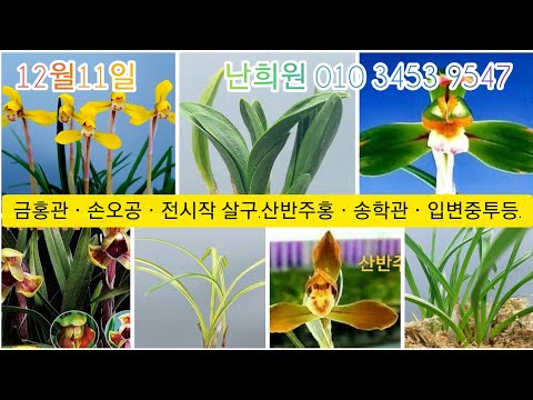 유튜브 썸네일