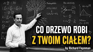 Dotknij Drzewa na 60 Sekund. Zobacz, Co Stanie Się z Twoim Ciałem