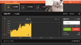 【FX】1万円から始める為替取引【BO】46