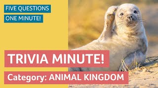 TRIVIA MINUTE! Category: ANIMAL KINGDOM!