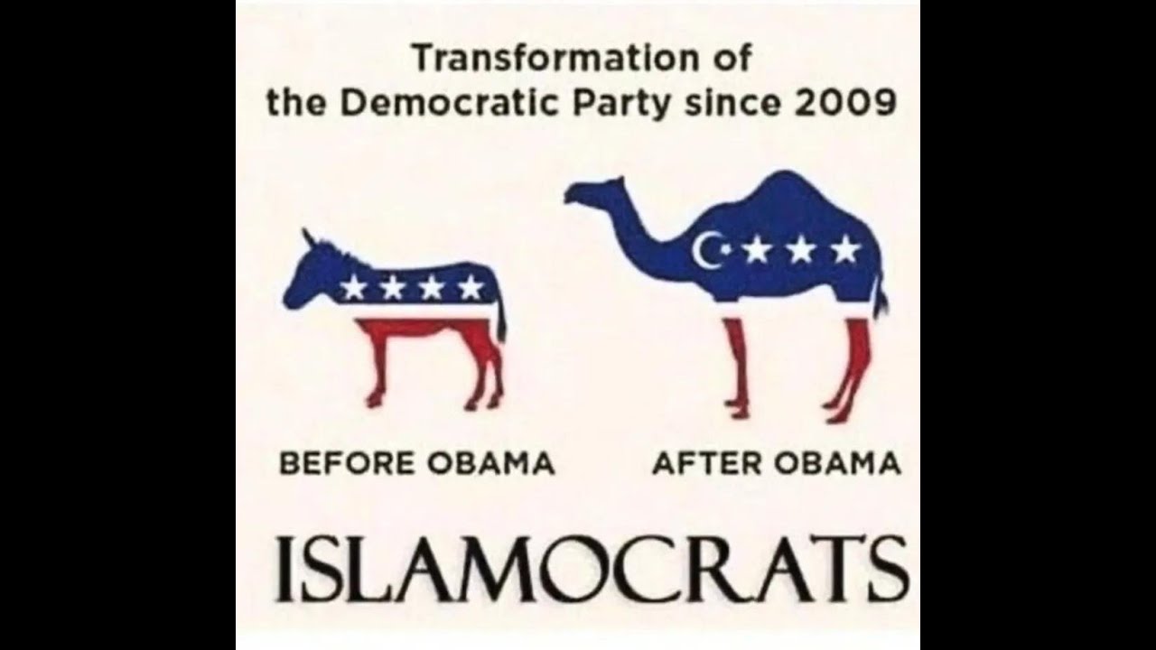 Daily MEMES YouTube Hates | YouTube is Fighting ME all the Way | Making ME Remove Memes | Part 333