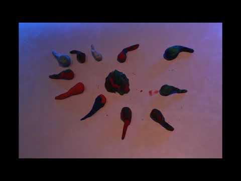 Saint Djuni - The Dude - Clay Theater Version