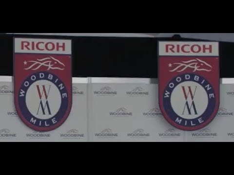 Talkin’ Horse Racing - 2017 Ricoh Woodbine Mile Preview