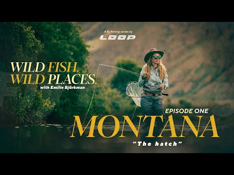 Loop Presents: Wild Fish. Wild Places. | Ep. 1 - Fly fishing in Montana with Emilie Björkman