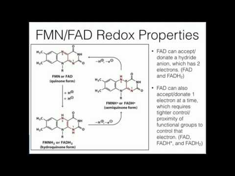 Flavins: Redox Chemistry of FMN and FAD