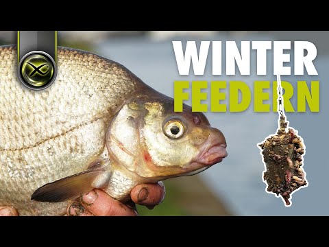 ERFOLGREICH FEEDERN IM WINTER - Man muss nur wissen WO!