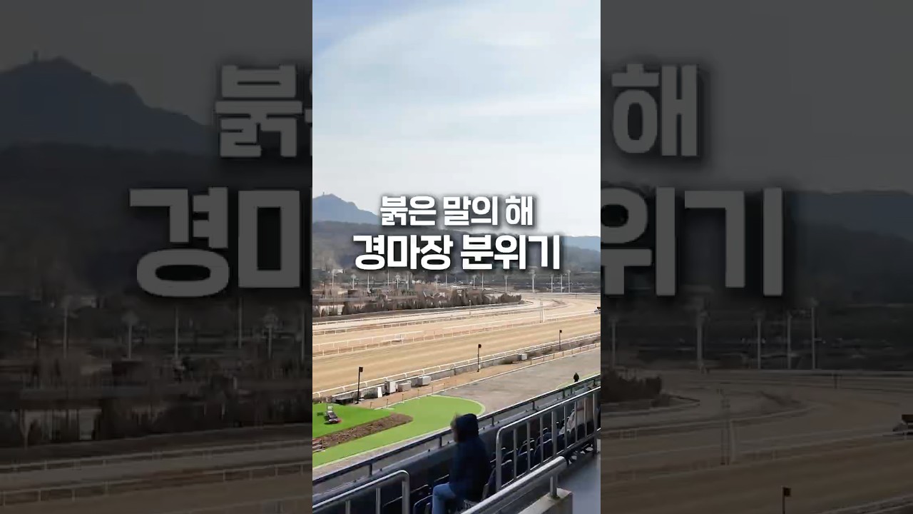 요즘 경마장 근황