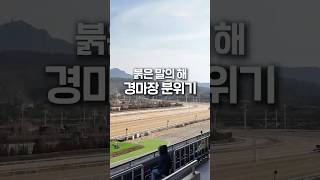 요즘 경마장 근황