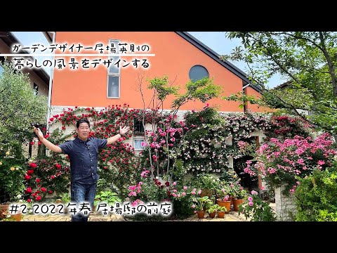 不利な条件でも生育するノーザンウォールつる植物をご存知ですか?あなただけのために厳選した5つをご紹介します。  庭園