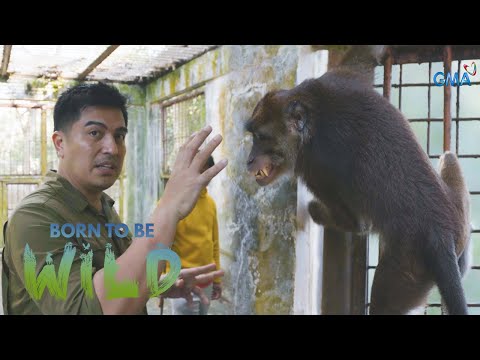 Visting rescued animals in Oriental Mindoro Born to be Wild