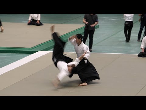 Ryuji Shirakawa - 56th All Japan Aikido Demonstration 2018