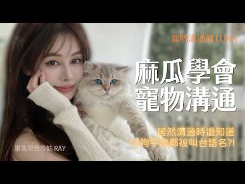 Ray 畢業溝通影片