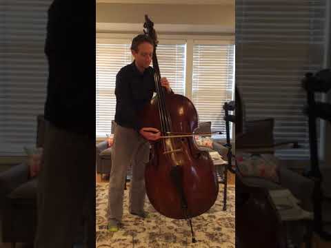 Sakura (Cherry Blossoms)