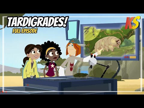 wild kratts - tardigrade xtreme - Full episode - English - kratts series #krattsseries - hd