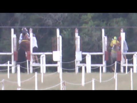 Pachano Carver - Premio Cabaña Los Alecrines - 350m - Pista El Mirador - 16/01/2022