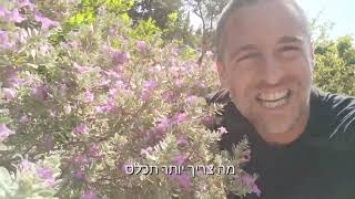 לבן עלה (ליקופיליום) כי מזמן לא דיברנו עליו