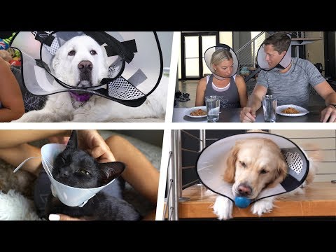 THE CONE CHALLENGE - Super Cooper Sunday #197