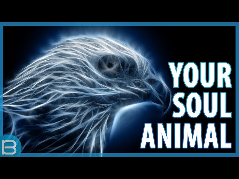 What Is Your Spirit Animal? | Video & Photo