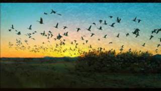 To be by your side-Nómadas del viento