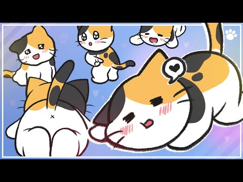 Why Do Cats Like Butt Pats | BEMYPET's Tips