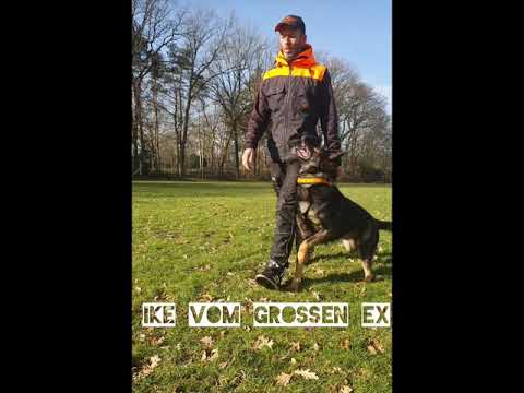 Ike vom Grossen Ex