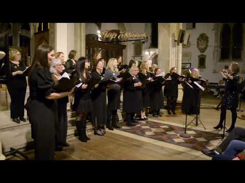 THE 12 DAYS OF CHRISTMAS CONFUSION - DECEMBER 2023