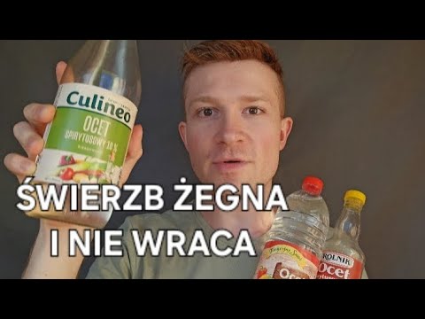 Świerzb i inne choroby skóry - szybkie i tanie leczenie, moje doświadczenie!