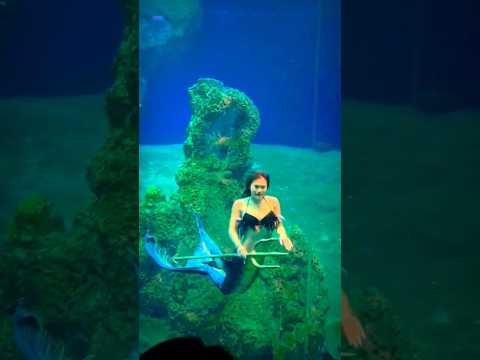 underwater dance mermaid merman - choreography mermaid love story#shorts