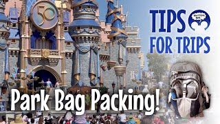 Disney PARK BAG Packing - 18 MUST HAVE ITEMS!! (Family of 5)