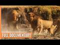 Hunting and being hunted in Kenya's Masai Mara | Full Documentary