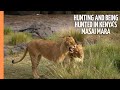 Hunting and being hunted in Kenya's Masai Mara | Full Documentary DEFAULT Thumbnail