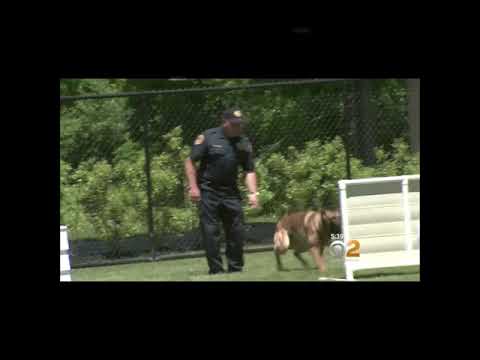 USA VS USSR MEME COMPILATION