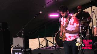 Chad Vangaalen performs &quot;Poisonous Heads&quot; Live - 2014 Calgary Folk Music Festival