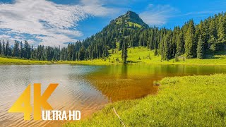 Download lagu 4K Amazing Nature - Part #1 - Incredible Nature of the United States - Short Preview Video mp3