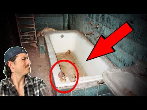 Top 3 photos with DISTURBING backstories | Part 10
