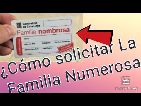 How to Apply for Large Family Benefit? Quickly and Online!