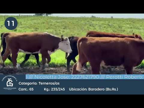 Lote M Y H - Baradero  Bs As