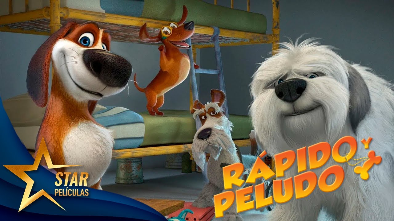 Rápido y Peludo