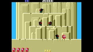Arcade Game: Ninjakun Majou no Bouken (1984 UPL (Taito license))