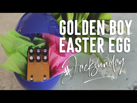 Jackson Audio Golden boy transparent overdrive image 5