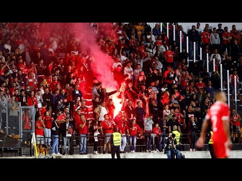 No Name Boys 92 || Caldas SC x Benfica || Ultras Benfica