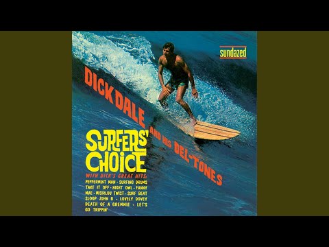 Death Of A Gremmie - Dick Dale