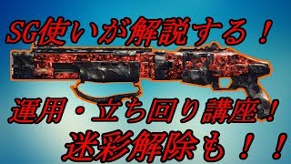 【BO4実況・SG解説】 公認SG名人が教える！ SG立ち回り・運用解説講座！！ これで君もSGマスター！！