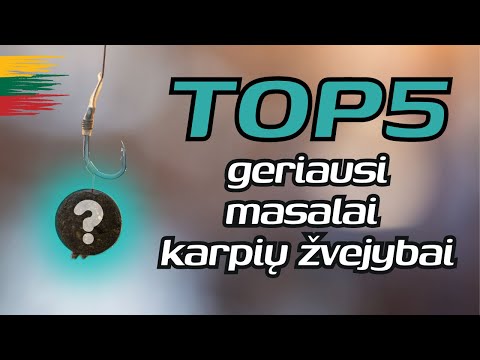 TOP5 geriausi masalai karpių žvejybai