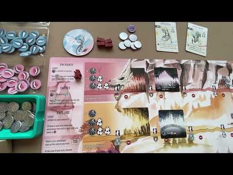 How to Setup and Play Wyrmspan