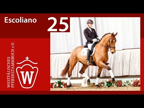 25 Escoliano Wallach v. Escolar - Negro