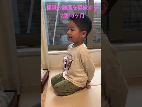 こども学科 【成長記録】標識の模倣 2歳10ヶ月