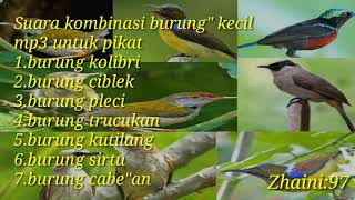 Download lagu Suara kombinasi burung-burung kecil mp3 untuk pikat mp3