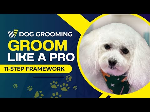 Dog Grooming-Guide for Beginners Instructional video