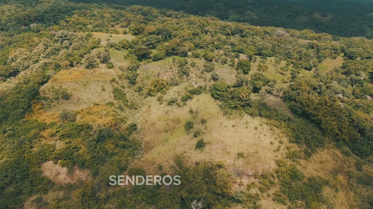 Bosque Maria's — Video del proyecto